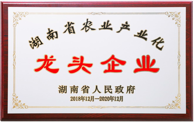 关于聪厨